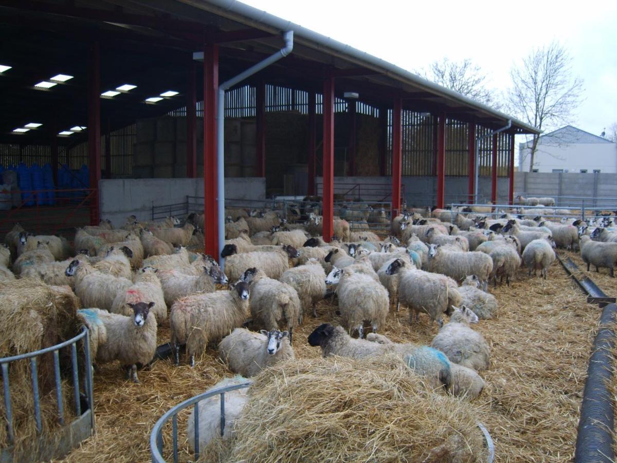 Church Farm Стретфорд-на-Ейвоні Екстер'єр фото